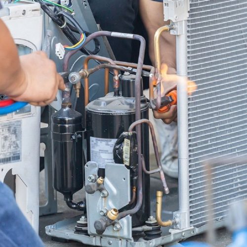 WhatsApp Image 2026-01-04 at 3.31.24 PM