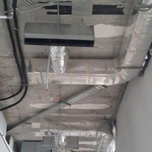 WhatsApp Image 2026-01-04 at 3.31.26 PM (1)