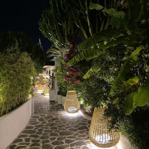 WhatsApp Image 2026-01-07 at 5.55.26 AM (1)